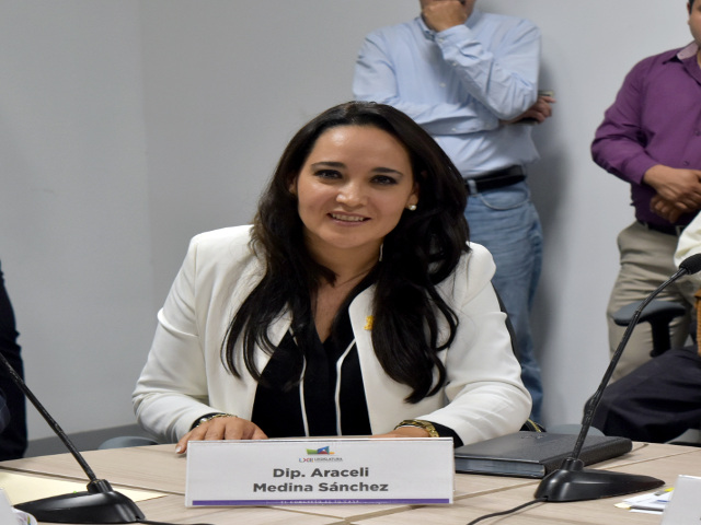 Diputada Araceli Medina Sánchez