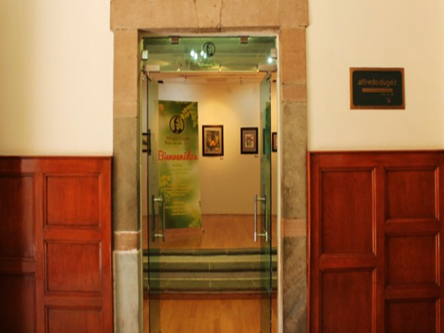 Entrada Museo Dugés