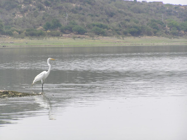 presa La Purísima 5