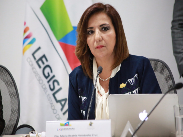 Diputada Beatriz Hernández Cruz