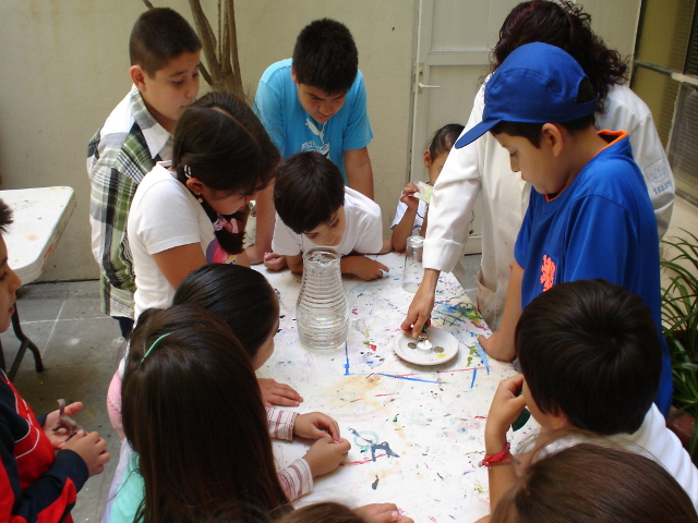 Curso de verano