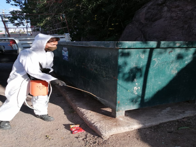 FUMIGAN CONTENEDORES