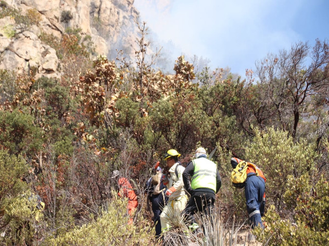Trabajos en incendio 2