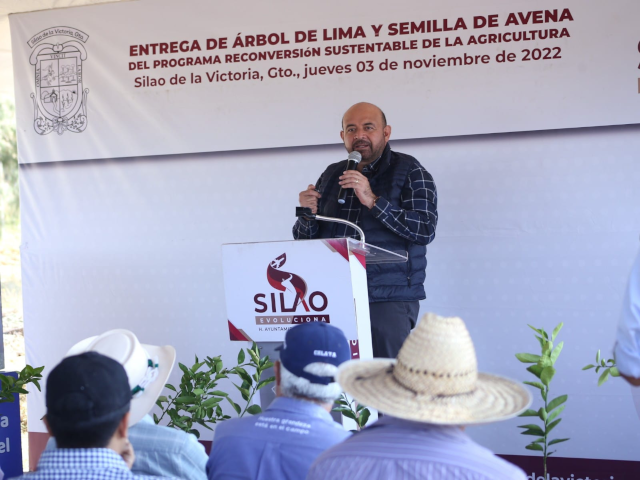 arbol lima