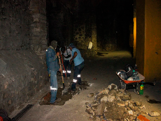 SUBTERRANEA MANITA GATO