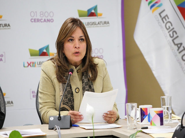 Diputada Elvira Paniagua Rodríguez