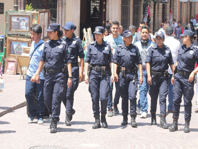 SEGURIDAD CIUDADANA (1)