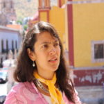 paloma puntera cultura