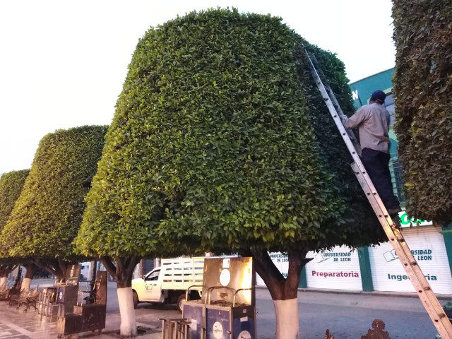 limpian espacios publicos