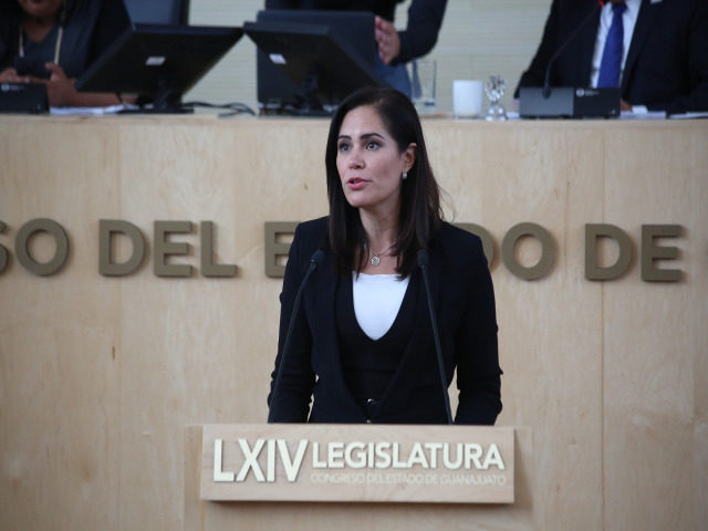 Diputada Alejandra Gutiérrez Campos