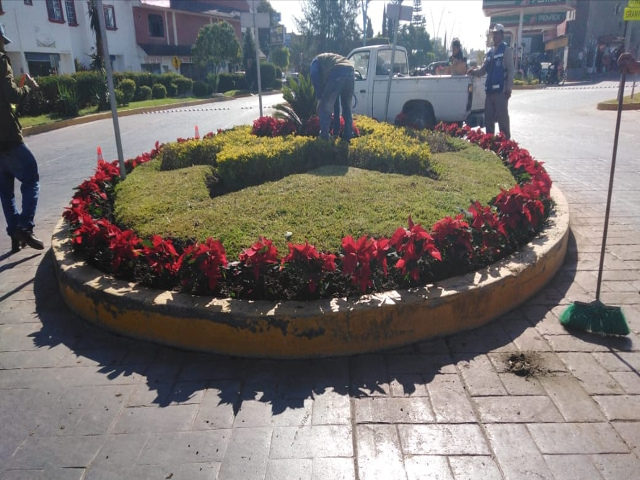 El municipio de Silao se llena de color con flores de Nochebuena | Enlace  Digital Bajio