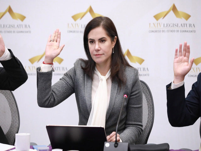 Diputada Alejandra Gutiérrez Campos