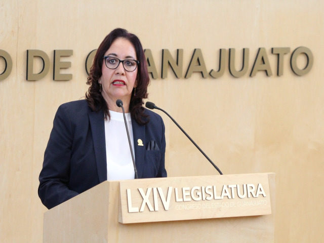 Diputada Martha Delgado Zárate