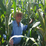 A través de 30 años, AGROASEMEX S.A., se ha distinguido como la Reaseguradora líder de México