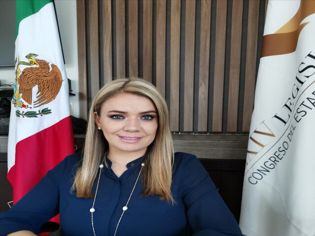 Diputada Noemí Márquez Márquez (1)