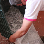 DESTRUYE INE CREDENCIALES