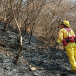 INCENDIOS PREVENCION