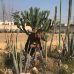 TRABAJO A FAVOR DE LA COMUNIDAD