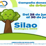 medio ambiente