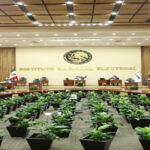 consulta ex presidentes