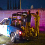 LLUVIAS_Monitoreo (4)