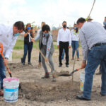 reforestación celaya