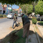 SERVICIOS DE CALIDAD