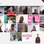 consultas ciudadanas IEEG