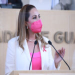 Diputada Melanie Murillo Chávez