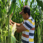 demostracion agricola