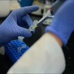 laboratorios