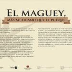 cartel exposición el maguey