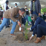 8 mil arboles