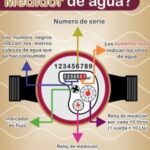 sapas2