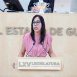Dip Susana Bermúdez
