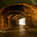 SUBTERRANEA