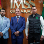 imss consultas
