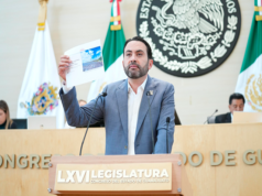 Impuestos justos para el agave: proponen PAN y PRD reforma que defiende al campo y la identidad mexicana