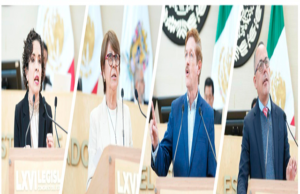 Aprueban exhortos clave en protección animal, transparencia y seguridad pública