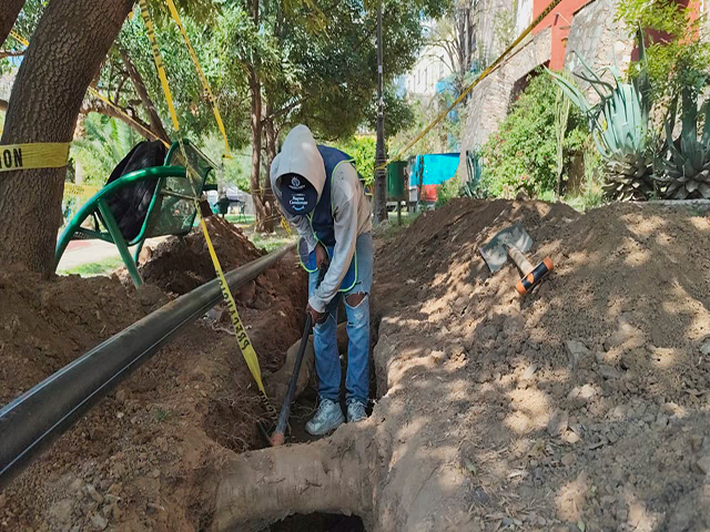 SIMAPAG LINEA MORADA