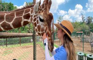 Durante las vacaciones de fin de año ¡el ZooIra abrirá todos los días!