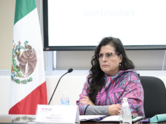 Asume Ana Lilia Pérez Mendoza la titularidad del INE Guanajuato