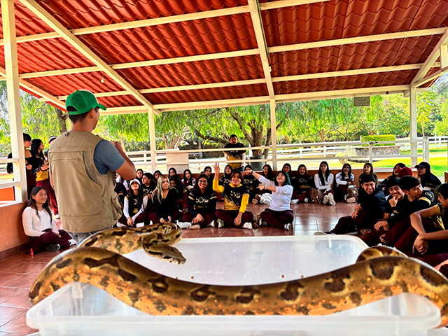 paquete escolar zooira (2)