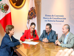 Reconoce Gobernadora labor y vocación de las y los profesionales de la enfermería en Guanajuato
