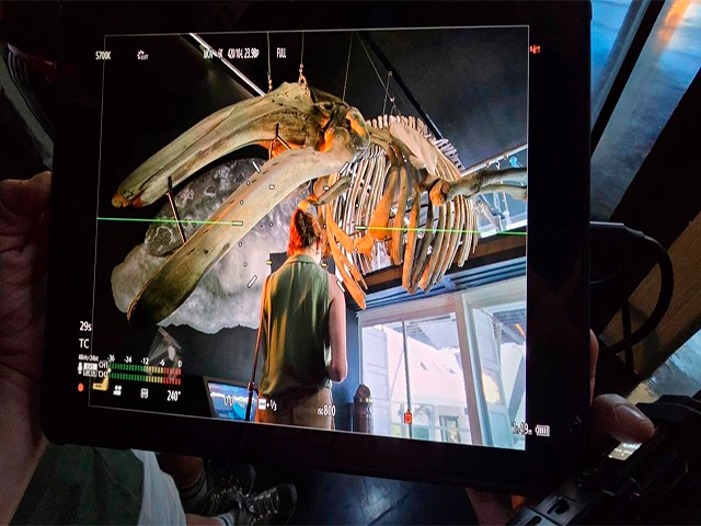 sinaloa turismo cine