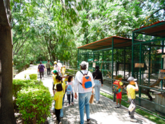 AUN ES TIEMPO PARA DISFRUTAR ZOO iRAPUATO