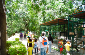 AUN ES TIEMPO PARA DISFRUTAR ZOO iRAPUATO