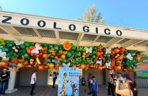 Actividades sociales Zoo Irapuato