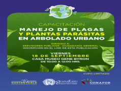 Invitan a la capacitación “Manejo de plagas y plantas parásitas en arbolado urbano”, en GuanajuatonCapital