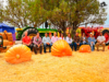 Festival Menonita de Otoño 2026: El encuentro cultural y gastronómico de Chihuahua